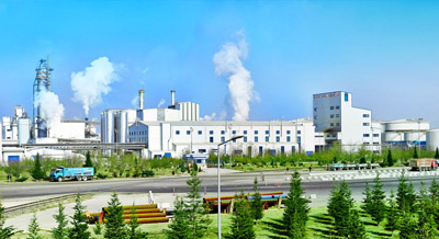 Bioethanol Production Group