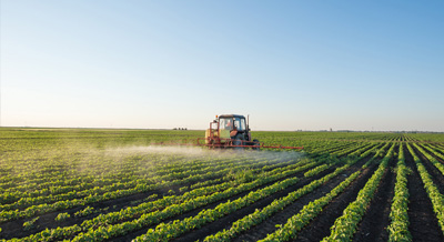 Agricultural Production